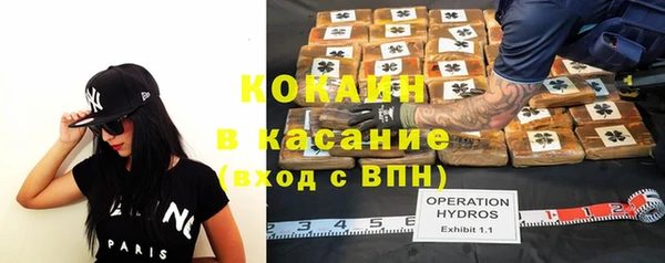 гидра Абаза