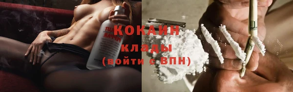 гидра Абаза