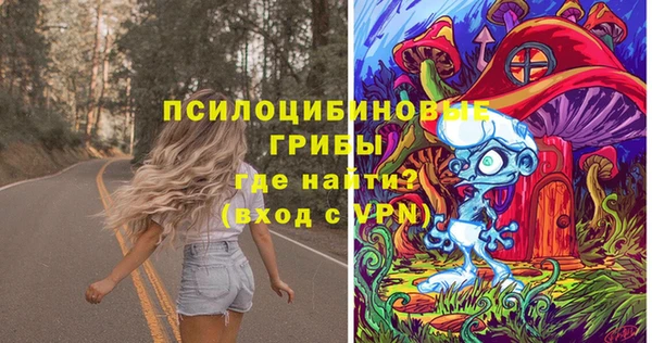 ПСИЛОЦИБИНОВЫЕ ГРИБЫ Алексин