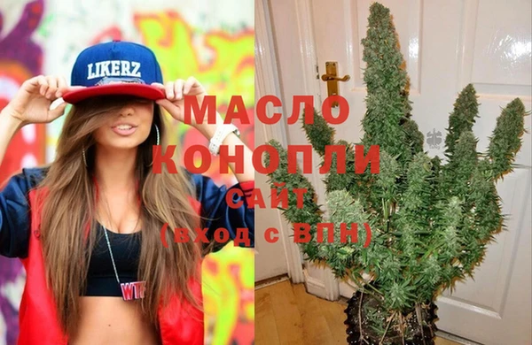 гидра Абаза
